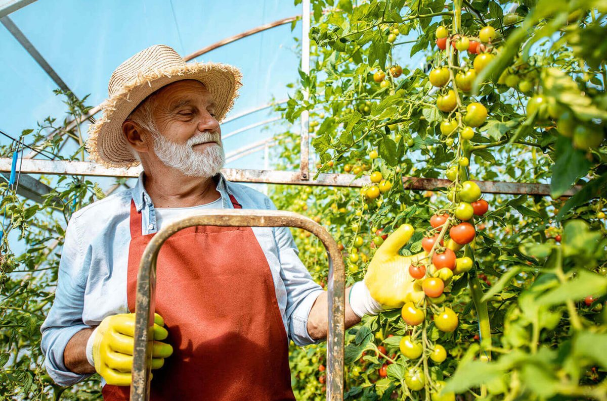 Developing a More Inclusive Food Future