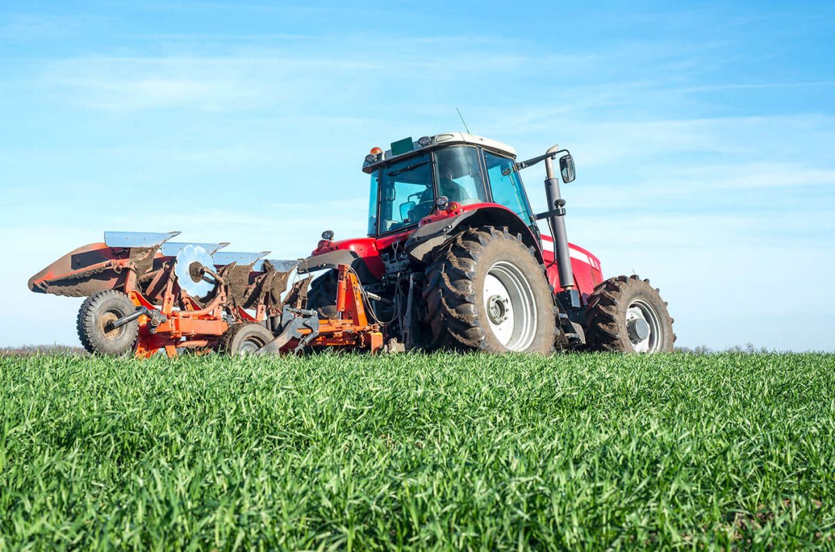 Supporting Farmers Returning to Agriculture